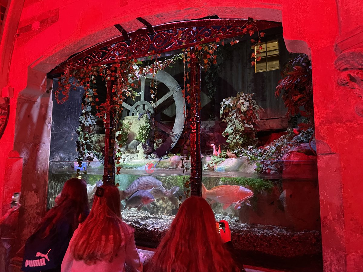 MagnaCartaSch's tweet photo. Year 8 had a wonderful time at @SEALIFEBrighton on the pier and Laines in Brighton. They are now on the bus on their way home. https://t.co/e5d32eV12p