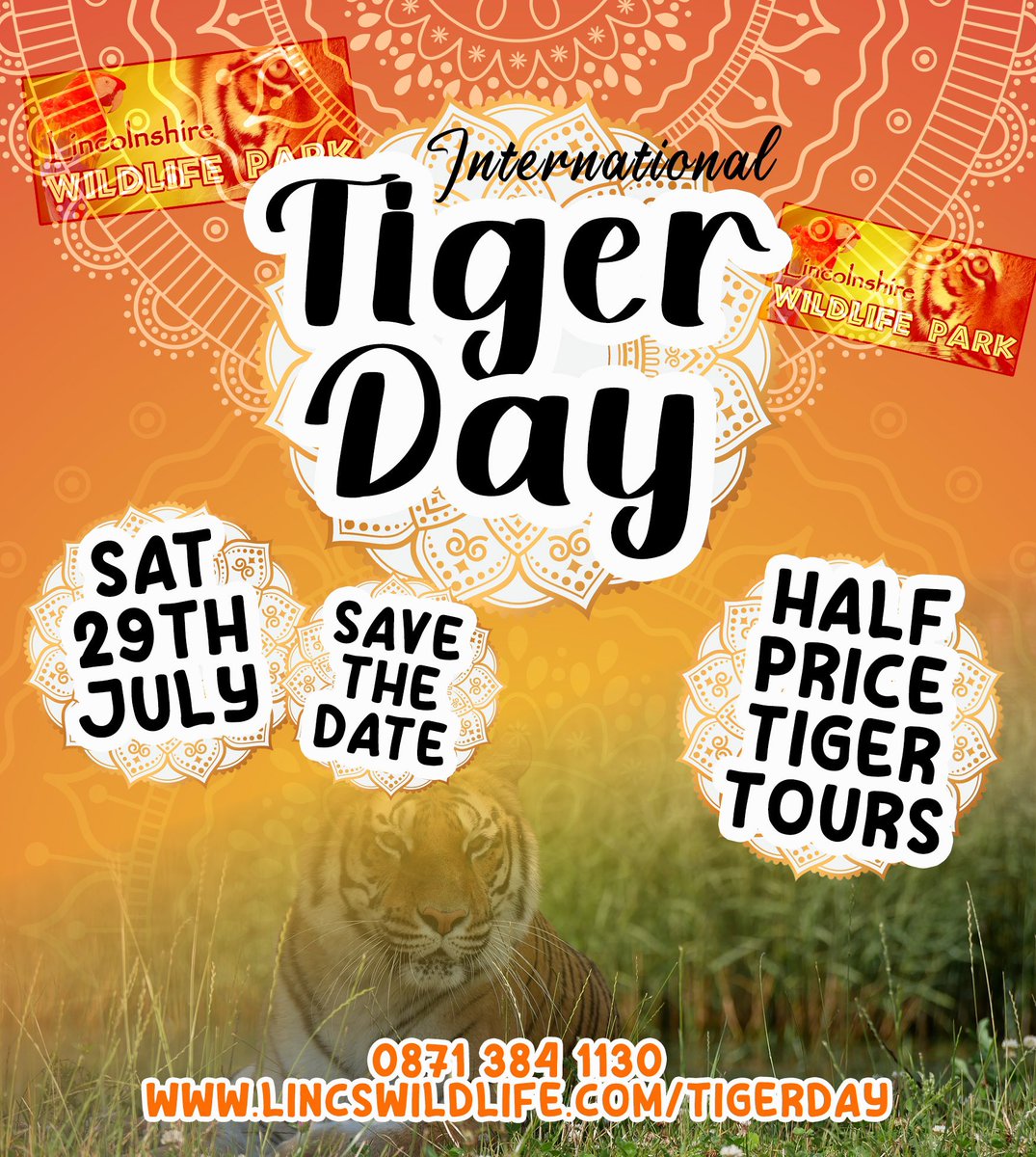 Here’s your reminder that #TigerDay is nearing and it’s going to be a fun packed family day out! 🐯
Plus… HALF PRICE Tiger Tours for the day too! Book now 01754 820107
Event details: lincswildlife.com/tigerday 

#LincolnshireEvents 
#Lincolnshire #LincsWildlifePark #tigers