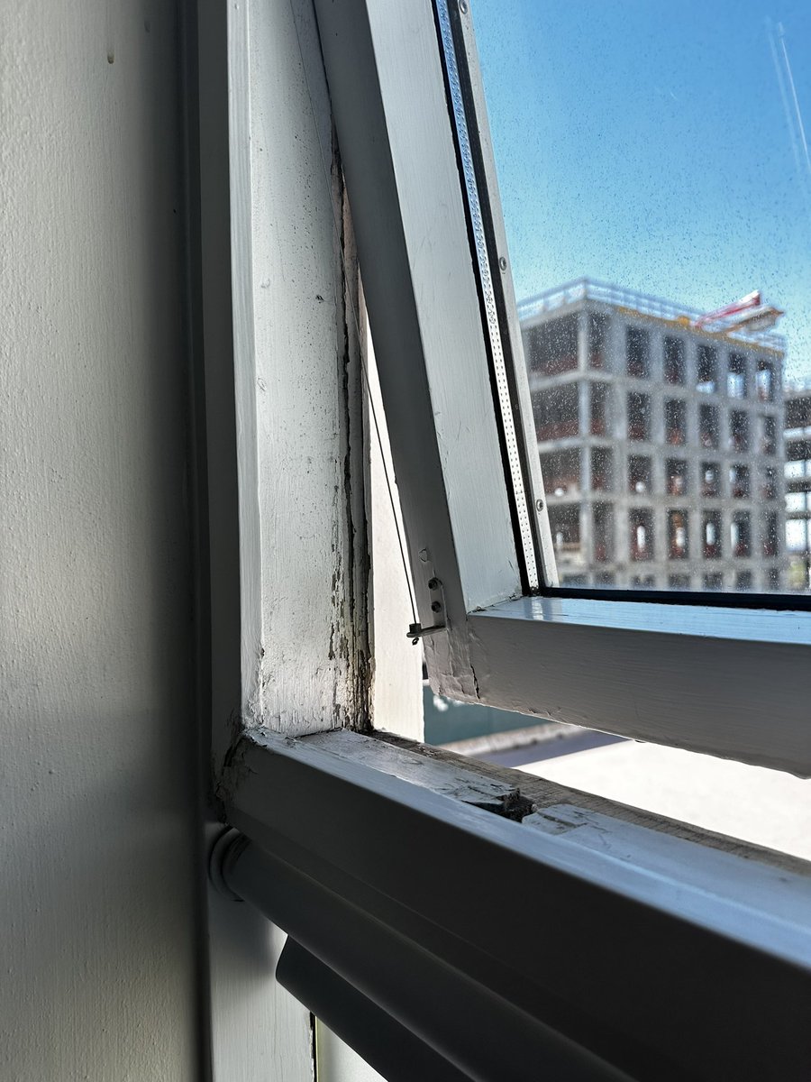 Þorbjörg Snorrad tweet media