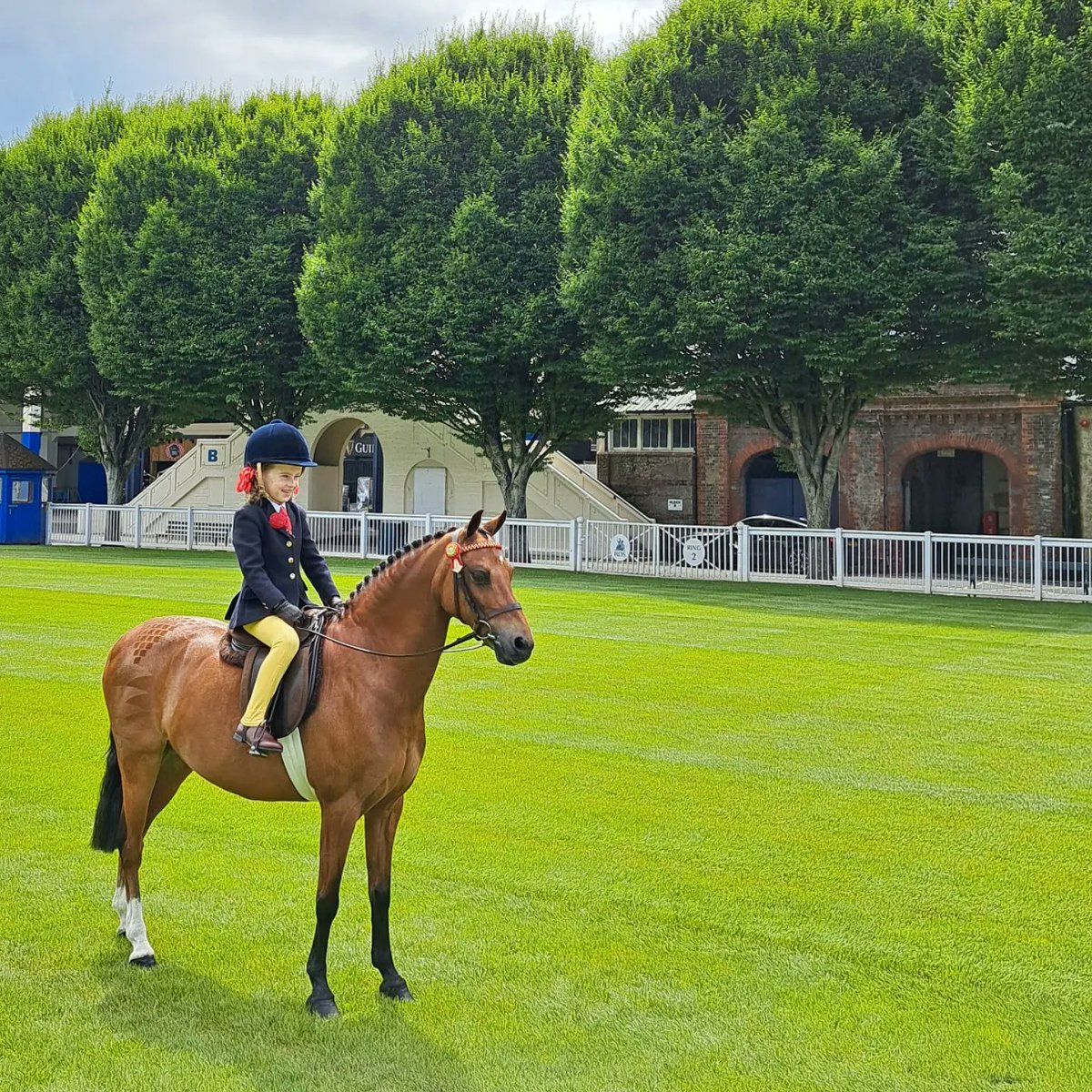 DublinHorseShow's tweet photo. We were delighted to welcome Minister McConalogue to launch the 2023 @Longines @FEI_Global Nations Cup™ @TheRDS Dublin Horse Show, which takes place August 9-13!
#DublinHorseShow #DHSCountdown #23DHS
@VisitDublin @LandRover @HorseSportIRL  @ShowjumpingIrl  @TheIrishField @agriculture_ie