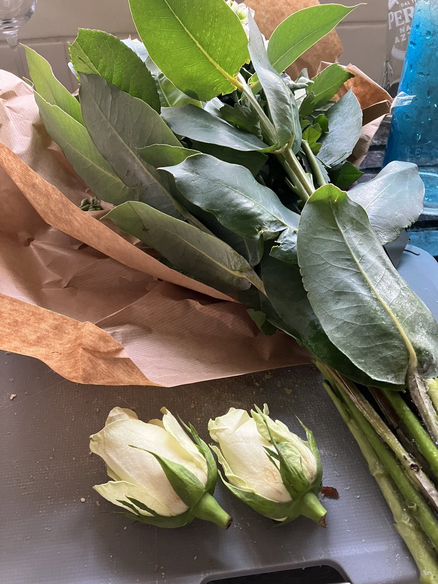 Webster6A's tweet photo. @SerenataFlowers Here are 2 of the roses I received….obviously not attached to the stems. Not impressed. Customer services equally unimpressive https://t.co/vYTa1LZLDi
