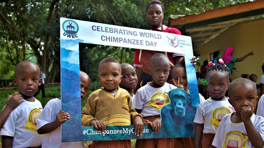 UWEC_EntebbeZoo's tweet photo. On July 14th,&amp; every day, we celebrate this unique and vital species-Chimps.  @UWEC_EntebbeZoo strives to Improve understanding by educating audiences about their uniqueness and innate value, as well as their importance to ecosystems.
#ChimpanzeeMyCousin 
#WorldChimpanzeeDay https://t.co/ocyVGb5Azx