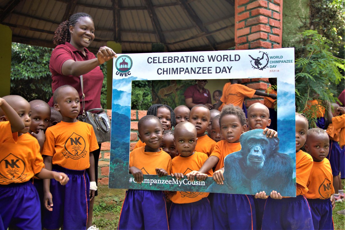 UWEC_EntebbeZoo's tweet photo. On July 14th,&amp; every day, we celebrate this unique and vital species-Chimps.  @UWEC_EntebbeZoo strives to Improve understanding by educating audiences about their uniqueness and innate value, as well as their importance to ecosystems.
#ChimpanzeeMyCousin 
#WorldChimpanzeeDay https://t.co/ocyVGb5Azx