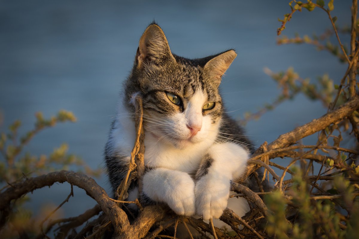 <a href="/marie_nassar/">Marie Nassar</a> Hello my dear Marie 🥰🌹 Happy Tuesday
Have a wonderful day my lovely friend 🌞💐😘💖
Much love, hugs and kisses 🤗🥰

♡♡♡💙♡♡♡