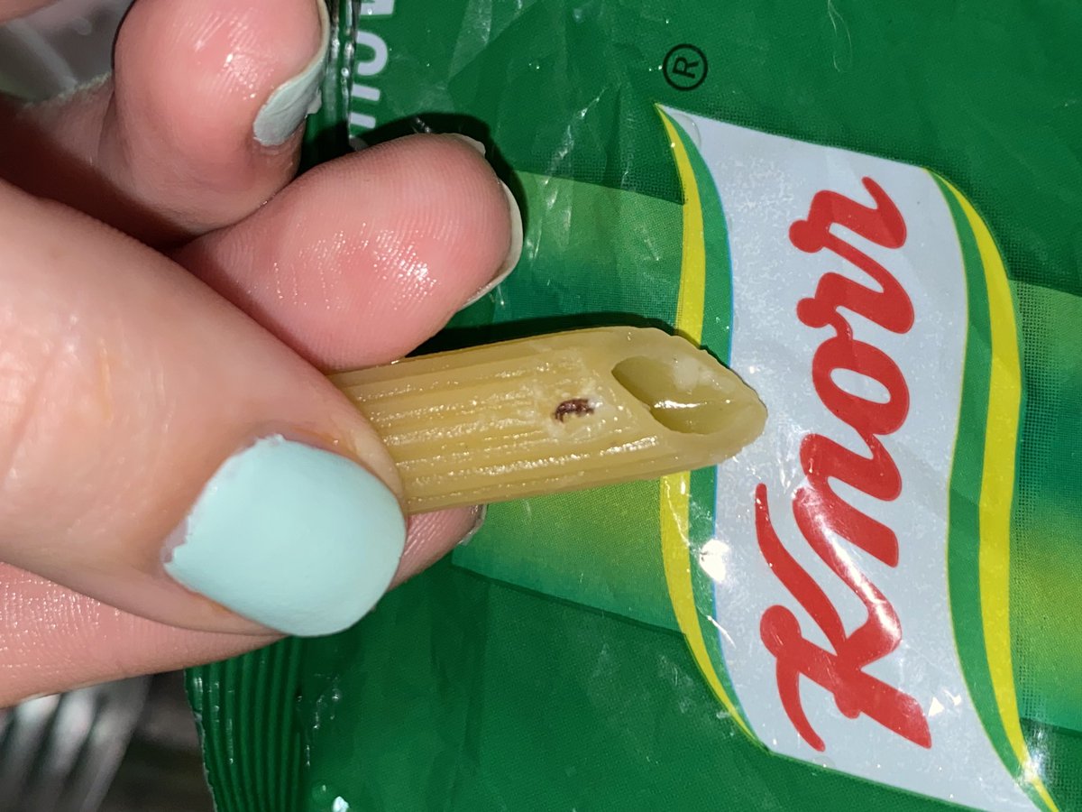 1Acher's tweet photo. Que es esto @KnorrPY ???

Ayer queriendo cocinar los fideos mostachol de la marca Knorr me encuentro con una sorpresita incrustada en la masa del fideo 

Obs: la fecha de caducidad era en 2025

Van las fotos ⚠️ https://t.co/SWnOnJwLHw