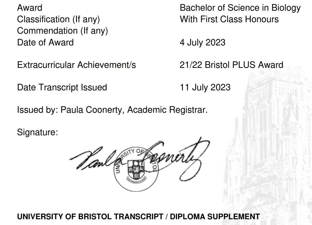 Nina Bosch tweet media