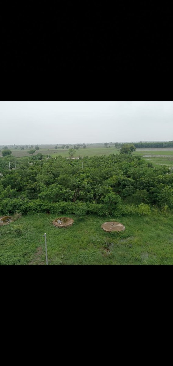 DesarGp's tweet photo. Desar gram panchayat miyavanki forest two year growth complete https://t.co/hdObPOaA1o