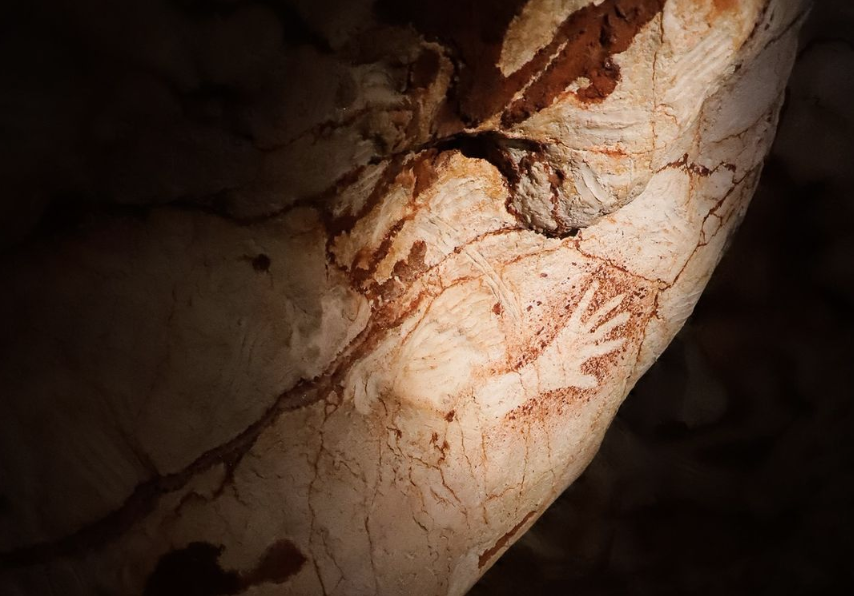 FranceinIreland's tweet photo. The extraordinary history of one of Europe's most important decorated caves. Paintings &amp; engravings of horses, bison, jellyfish &amp; even penguins bear witness to life on the shores of the #Mediterranean 30,000 years ago.  
Discover 🇫🇷#CosquerCave tomorrow:
👉https://t.co/1oG5yeEnhi https://t.co/URre5j6Zbz