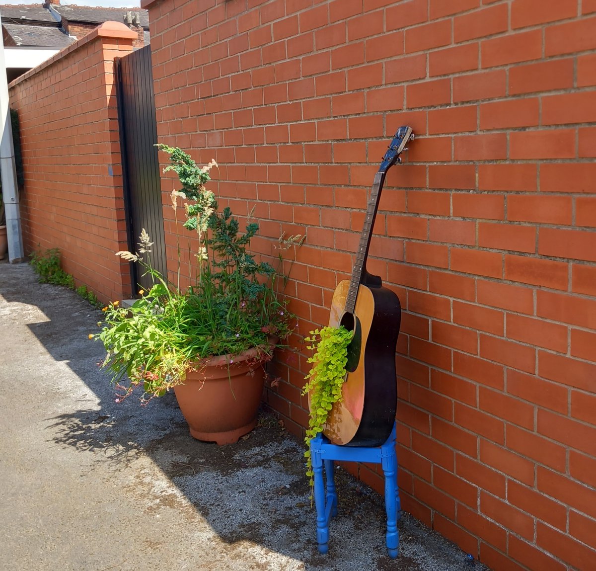 UppingIt's tweet image. If you are thinking of turning your alley into a garden, then waste nothing!  Nothing!
All sorts of junk can be turned into planters and make your alley look cool.