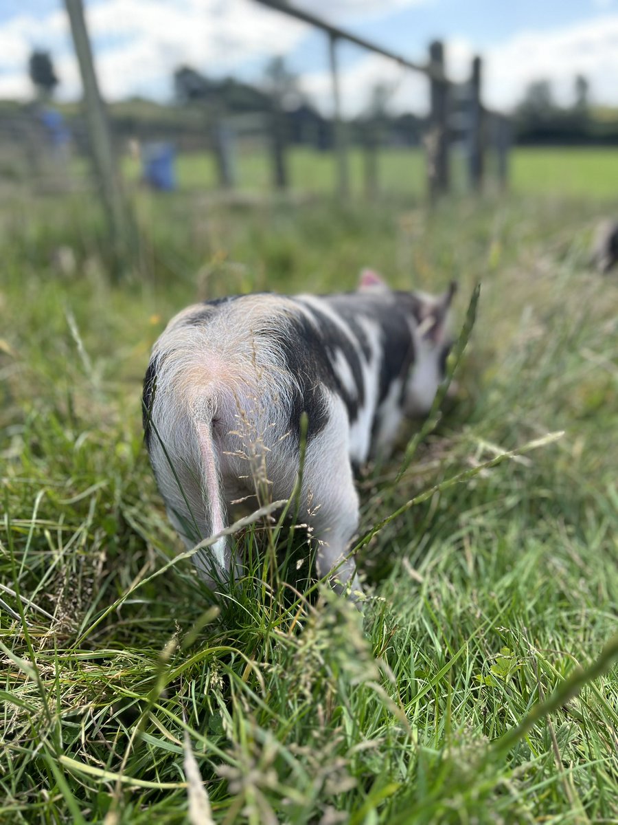 David Edmunds tweet media