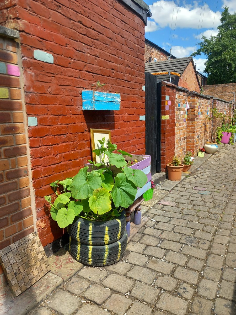 UppingIt's tweet image. If you are thinking of turning your alley into a garden, then waste nothing!  Nothing!
All sorts of junk can be turned into planters and make your alley look cool.