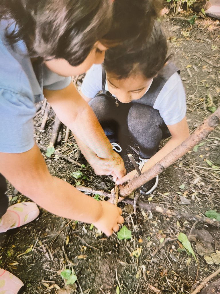 EYFSatStPhilips's tweet photo. "Look, I have made seesaw land!" A (4 years old) announced  as she carefully balanced sticks on the branches of the tree. #imagination #forestschool #interestled @WeAreBDAT @STPHILIPSCE @EarlyExcellence https://t.co/zLXqL793SP