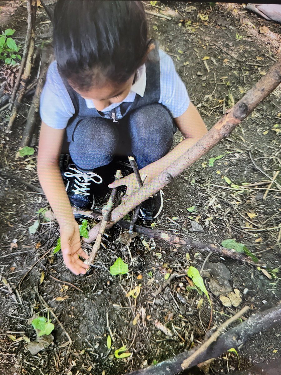 EYFSatStPhilips's tweet photo. "Look, I have made seesaw land!" A (4 years old) announced  as she carefully balanced sticks on the branches of the tree. #imagination #forestschool #interestled @WeAreBDAT @STPHILIPSCE @EarlyExcellence https://t.co/zLXqL793SP