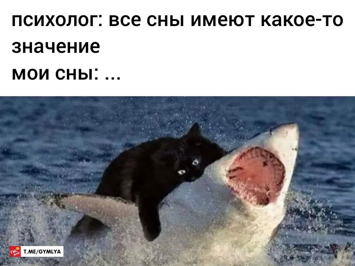 gy_mlya's tweet photo. telegram: https://t.co/7kwkEbAw1y

#Memes #мемы #юмор #шутки #приколы #гымля #gymlya https://t.co/JkLLKMKWzr