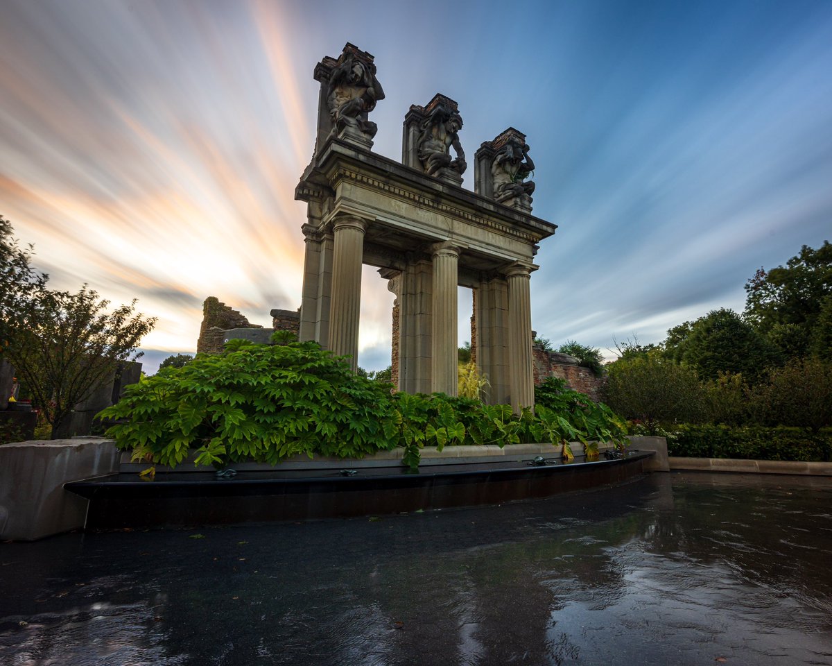 Ryan Shean tweet media