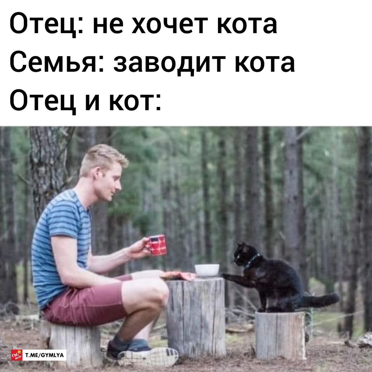 gy_mlya's tweet photo. telegram: https://t.co/7kwkEbAw1y

#Memes #мемы #юмор #шутки #приколы #гымля #gymlya https://t.co/dOlFPvzTxq