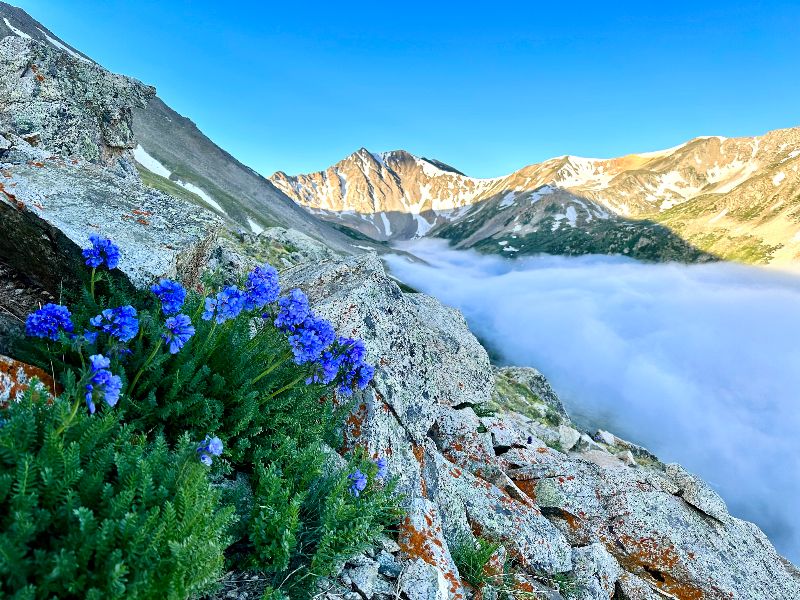 Dr. Jon's July 2023 Newsletter - Go Get lost - mailchi.mp/807ccce4f553/d…  You Know what to do............... Sign up for our brand new Patagonia Adventure! @drjonsadventures