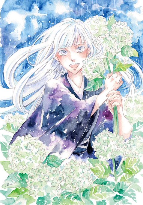 紫陽花シーズンの終わりに、以前描いた紫陽花シリーズの水彩画を出しておきます✿  5枚目これがラスト、雪華です   #極彩の家 #透明水彩 #水彩画