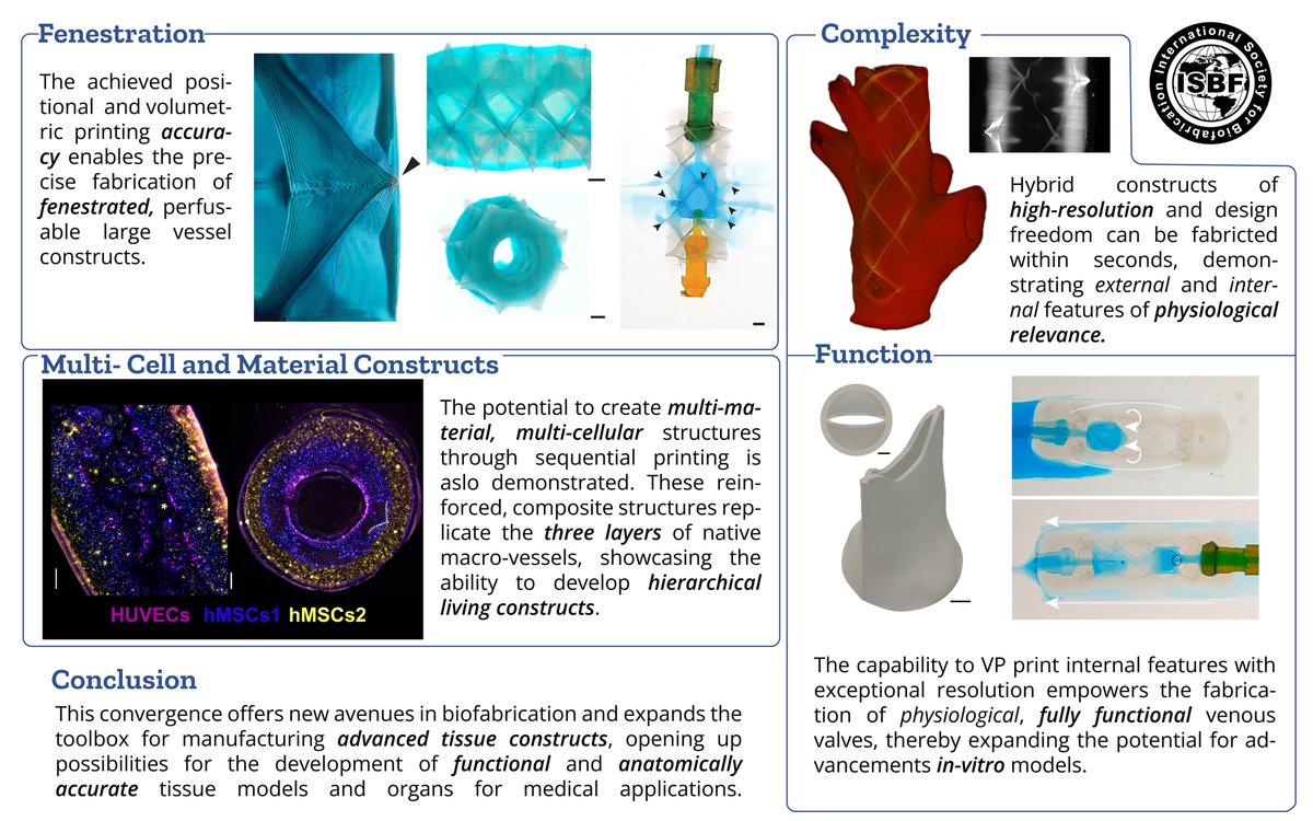 Gabriel (@ggroessb) on Twitter photo Excited to share our work on integrating melt electrowritten tubular scaffolds into the volumetric printing process to fabricate multi-material living scaffolds with tunable architectures and mechanics!
#Biofab2023 <a href="/ISBioFab/">Intl Soc Biofab</a> Excited to share our work on integrating melt electrowritten tubular scaffolds into the volumetric printing process to fabricate multi-material living scaffolds with tunable architectures and mechanics!
#Biofab2023 <a href="/ISBioFab/">Intl Soc Biofab</a>