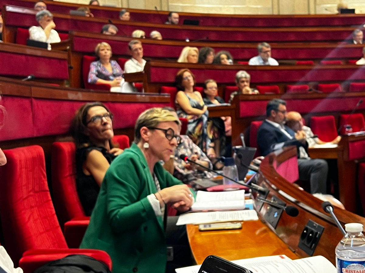 CeseEntreprises's tweet photo. Tenue du Parlement des Jeunes le 14 décembre prochain au CESE par C. Guerniou, groupe Entreprises. Objectif : mobiliser 150 jeunes pour un état des lieux de la France ! https://t.co/2LytMzVFm5