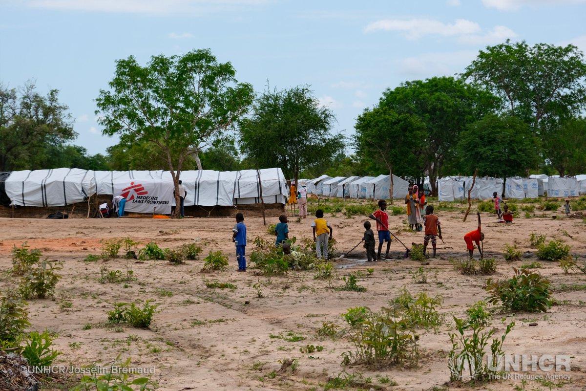 🔃 La coordination est la clé. Grâce à une collaboration de tous les instants avec nos partenaires, nous sommes en mesure de fournir une protection et assistance vitale aux personnes déplacées par les violences, comme à Birao en Centrafrique.

Ensemble, nous sommes plus forts 👏.