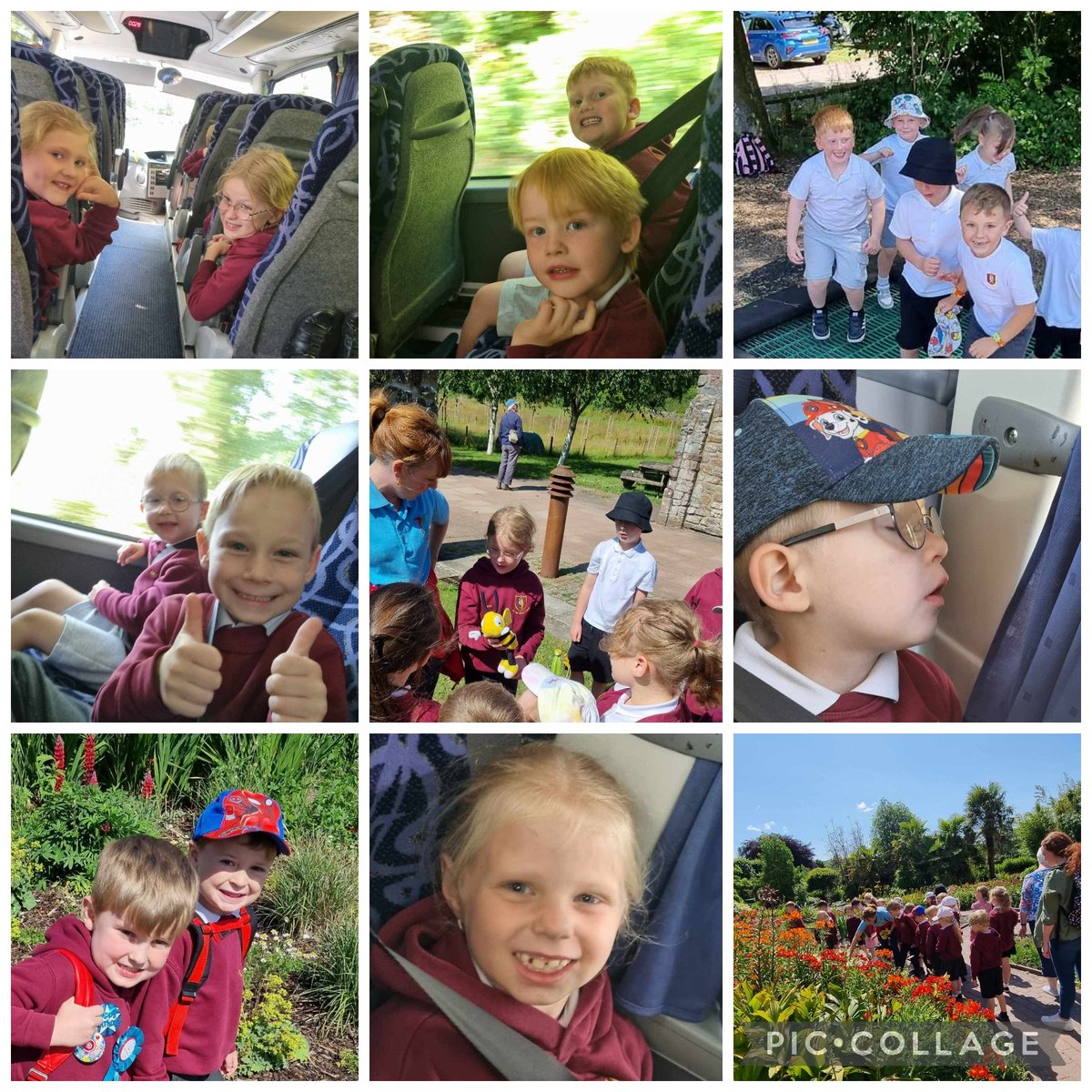 CymerPrimary's tweet photo. #CAPWillow had a fantastic day exploring @swanseabotanics. We carried out a bee workshop as part of our topic, learning about the flowers they are attracted to the most, visiting the bee hives and making candles with beeswax. 🐝🍯🌷 #swanseabotanicalgardens #bees #outdoorlearning https://t.co/OLoAqtp4Nx