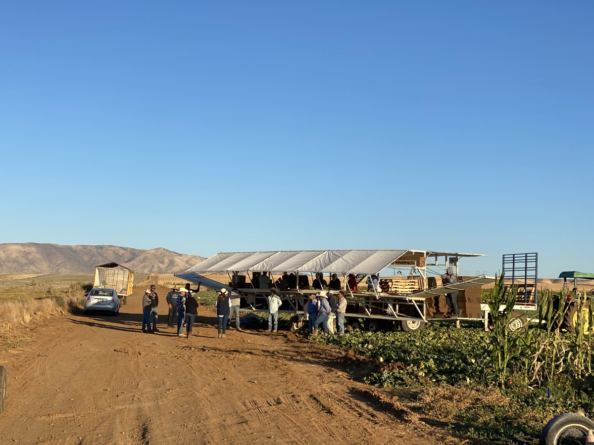 There’s another heat wave coming in Central California. My wife and I are giving a refresher heat illness prevention training of our melon harvesting teams. #safetyfirst #heatillnessprevention #wecare #farmworkers #heatwave