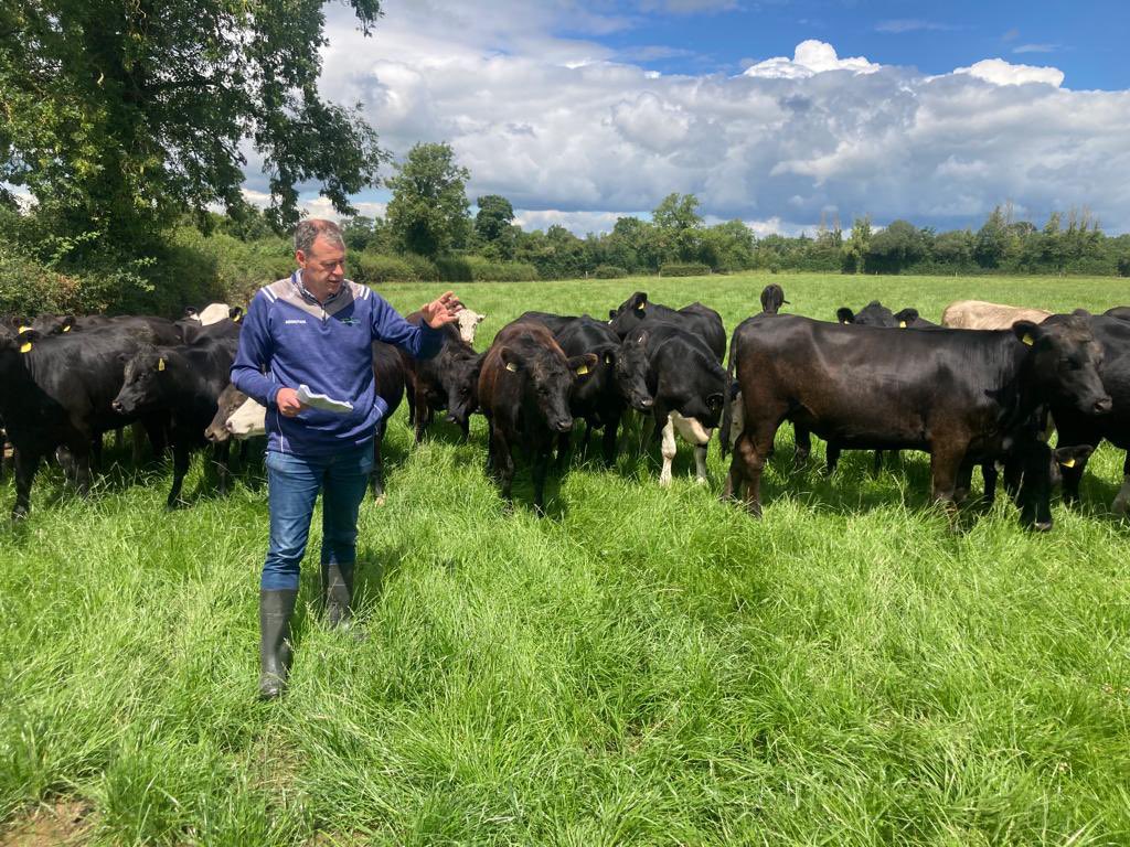 CarberyGroup's tweet photo. The board’s of #Barryroe, @Drinaghagri and @LisavairdCo traveled to Tipperary today to visit the @Ballyvadin farm project. Calves from Shinagh and west Cork farms are being successfully reared to beef. This project is being run by @Shinagh @dawnmeatsgroup and @teagasc to..ctd ⬇️ https://t.co/uhuByRWrFp