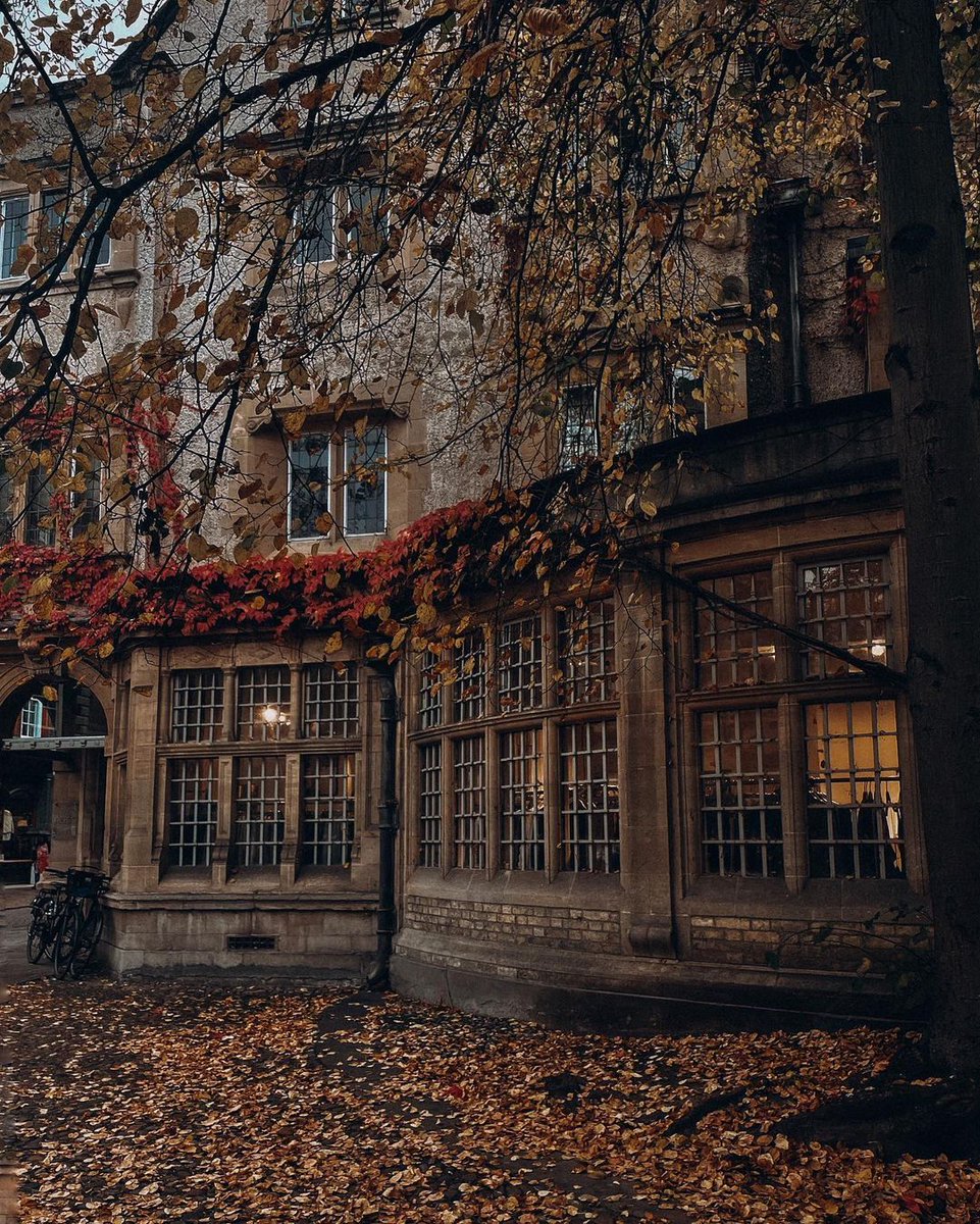 ValentyneDreams's tweet photo. Autumn is the season of the soul. https://t.co/607OX8g0EO