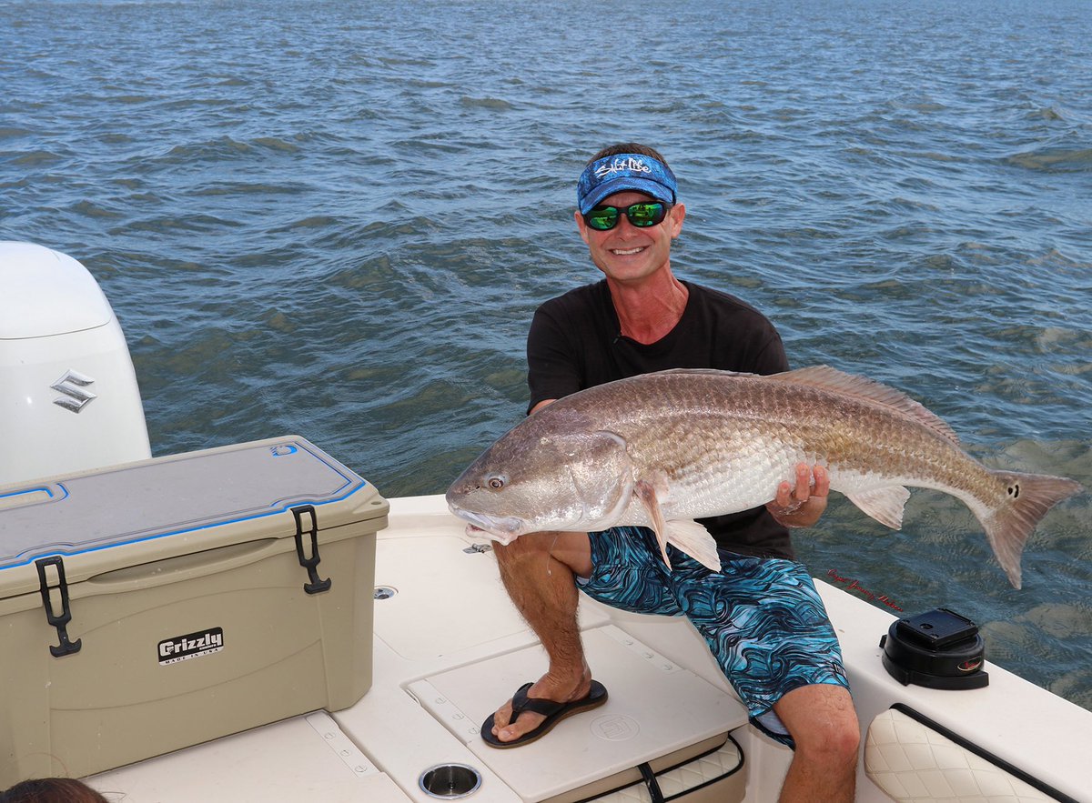 CaptJimmyNelson's tweet image. Fatty! 
@FishinwithLuiza 
@RealSaltLife @GrizzlyCoolers @dekitco #fishing #redfish #livinthedream #reddrum #bigfish #saltwaterfishing #inshorefishing #overslot #bullred #bullredfish #saltlife #grizzlycoolers #dekit #catchandrelease #floridafishing #captjimmynelson
