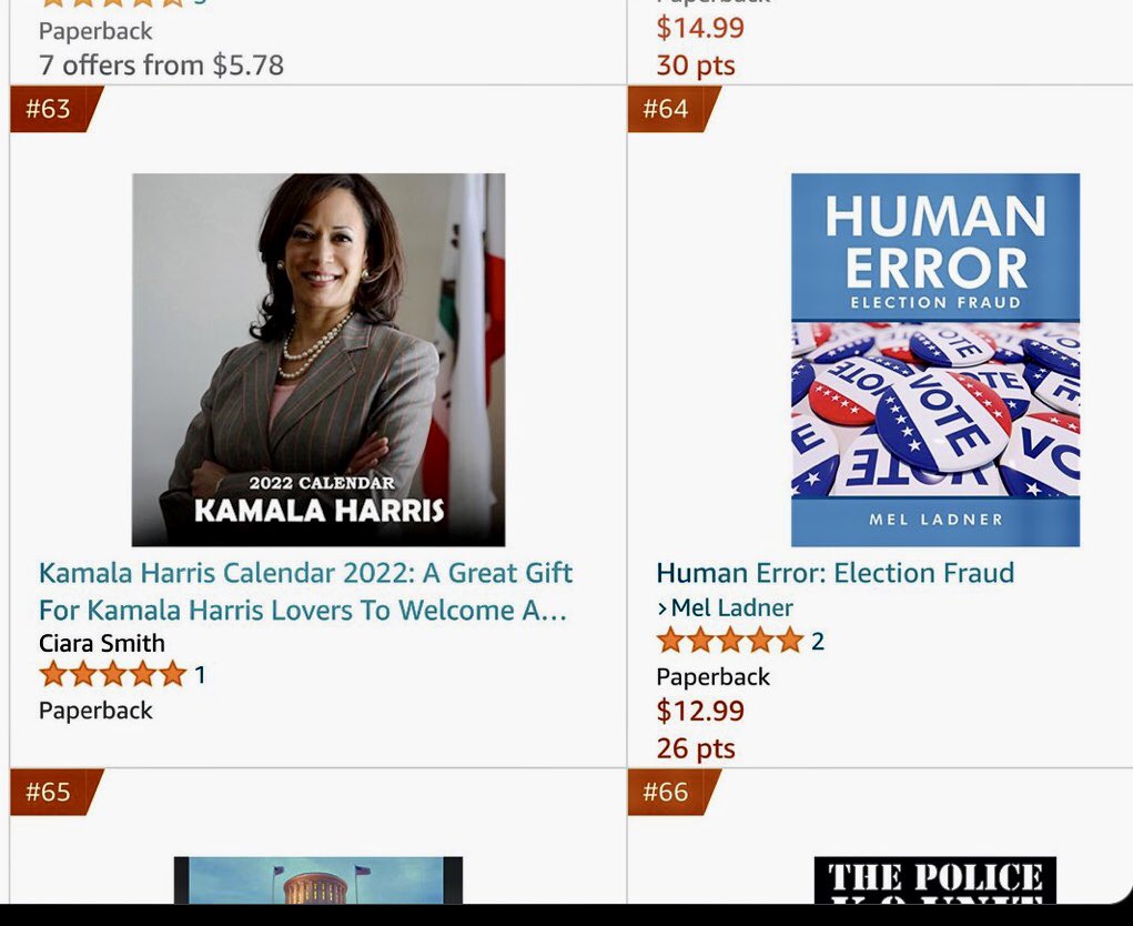 rendal27's tweet photo. Please read my nonfiction book Human Error following right behind Kamala Harris's https://t.co/3zgjcO12v6 creates an image of a rigged elections following the vice president. it details my 6 year journey all the way to U.S.Supreme Court case#99-5301 on a NYC rigged election. https://t.co/reJmcvZ35Z