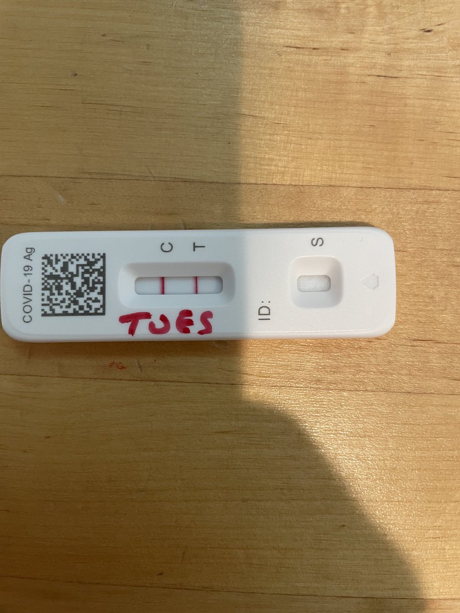 I did an experiment, it worked beautifully, but I’m very unhappy with the results