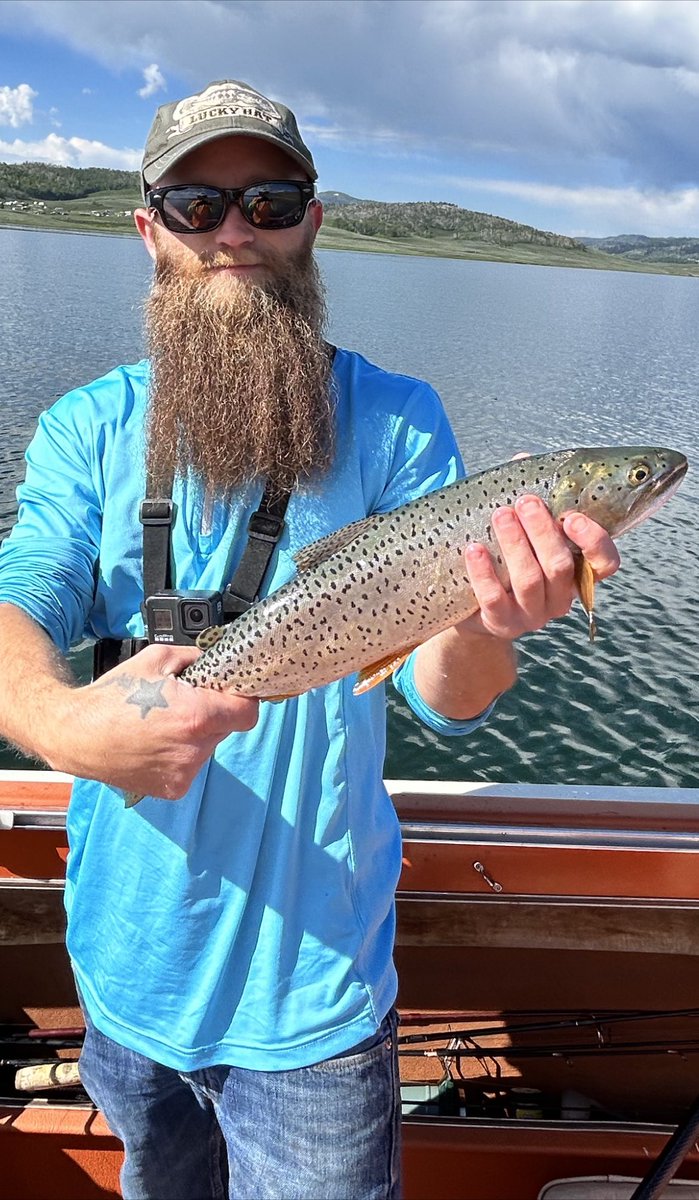 10thcastfishing's tweet photo. Strawberry reservoir trout fishing!

https://t.co/CFoAu7uNED https://t.co/jPJQHQh6DV