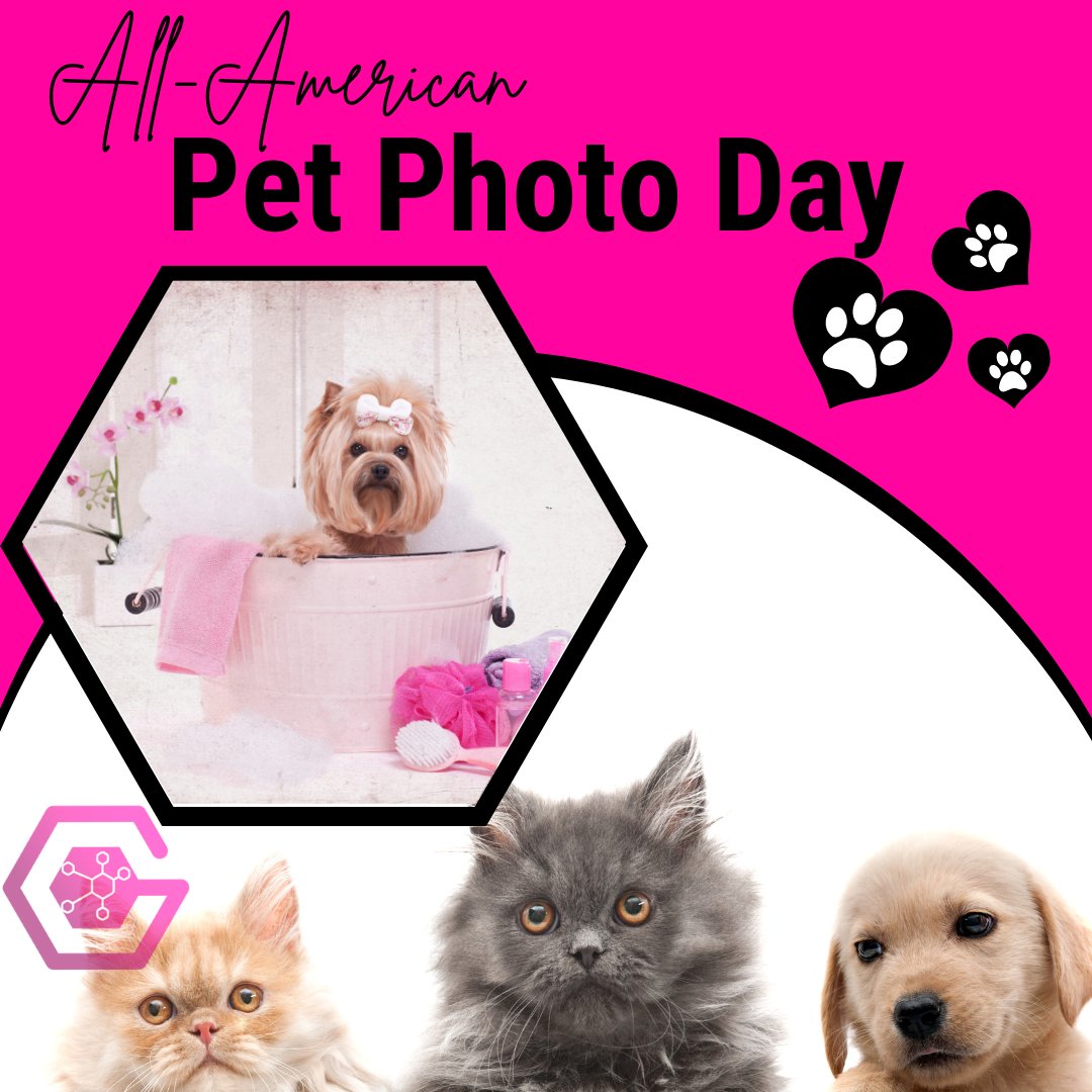 theciagent's tweet photo. Calling all pet lovers! It's All-American Pet Photo Day, a celebration of our furry friends! 🐾 Share the cutest, quirkiest, and most heartwarming snapshots of your pets below and let's fill this feed with adorable pet moments!😻🐶 🎉 #AllAmericanPetPhotoDay #PetsOfInstagram 📸 https://t.co/wwPi4hB3RO
