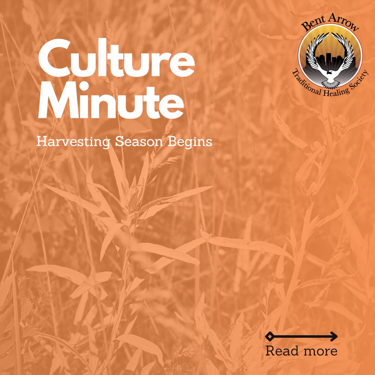 Bent Arrow tweet media