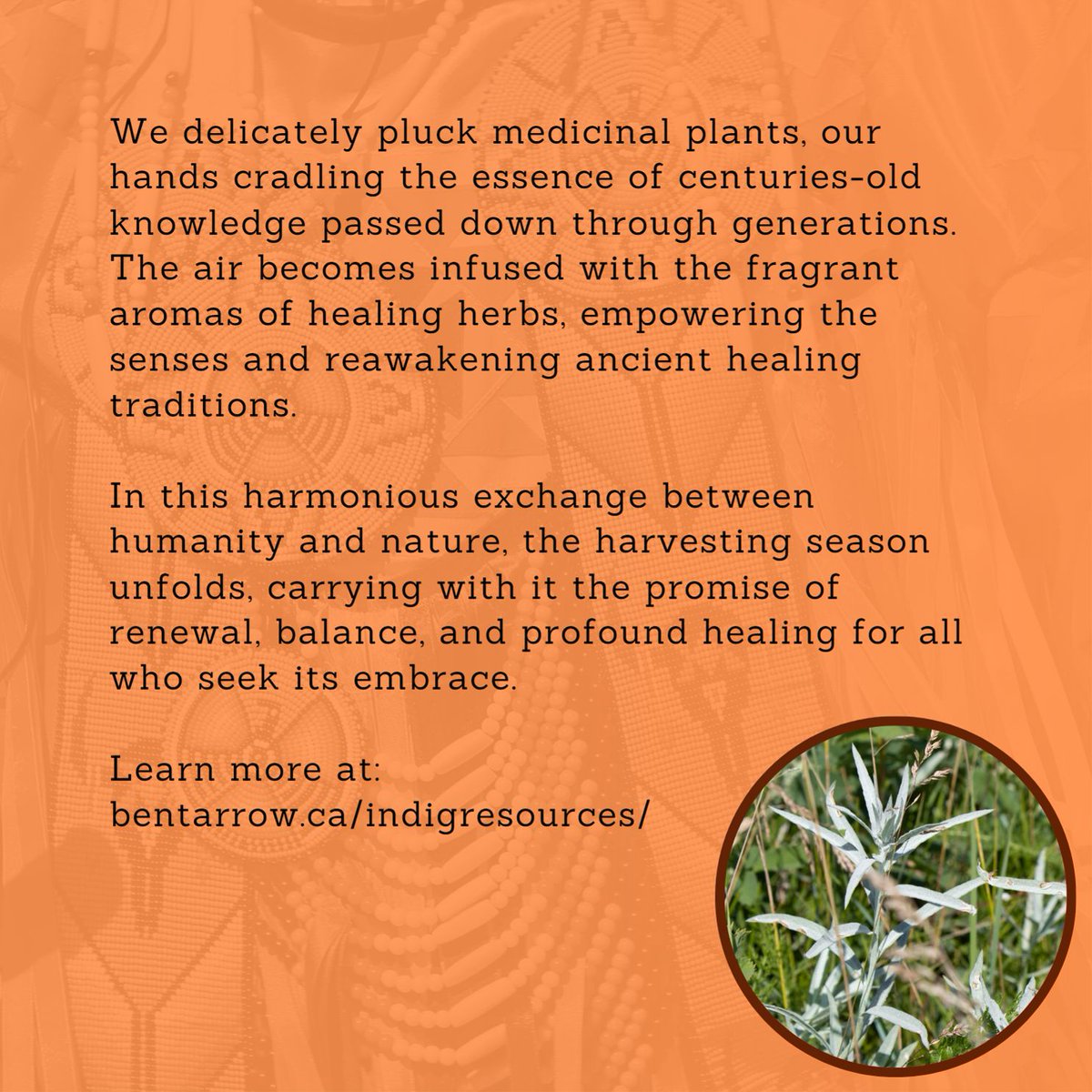 Bent Arrow tweet media