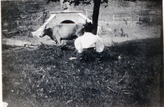 Birmingham Museum tweet media