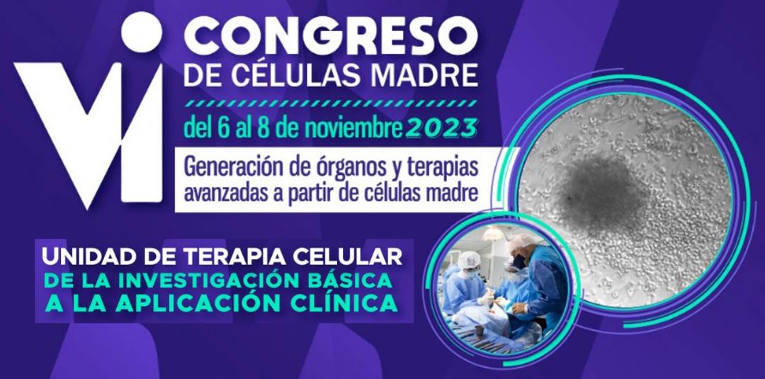 IVIC_oficial's tweet photo. Profesionales y estudiantes vinculados al área de salud. Anunciamos la apertura de preinscripciones al VI Congreso de Células Madre, modalidad presencial y virtual.

Del 06 al 08 de noviembre de 2023 en el IVIC. https://t.co/Eork89Byqf