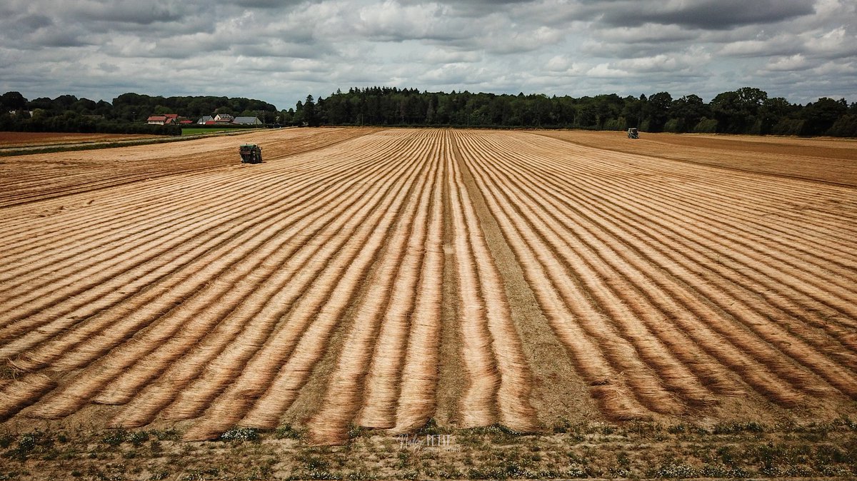 agri_zoom's tweet image. Journée chargée 🌞
Moisson de blé d&apos;un côté et écapsulage des lins d&apos;hiver de l&apos;autre !
Moi je suis dans le lin !

#FrAgriMoisson2023 #FrAgTw
