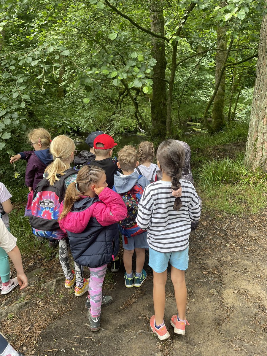 ShadeBooksandMore tweet media