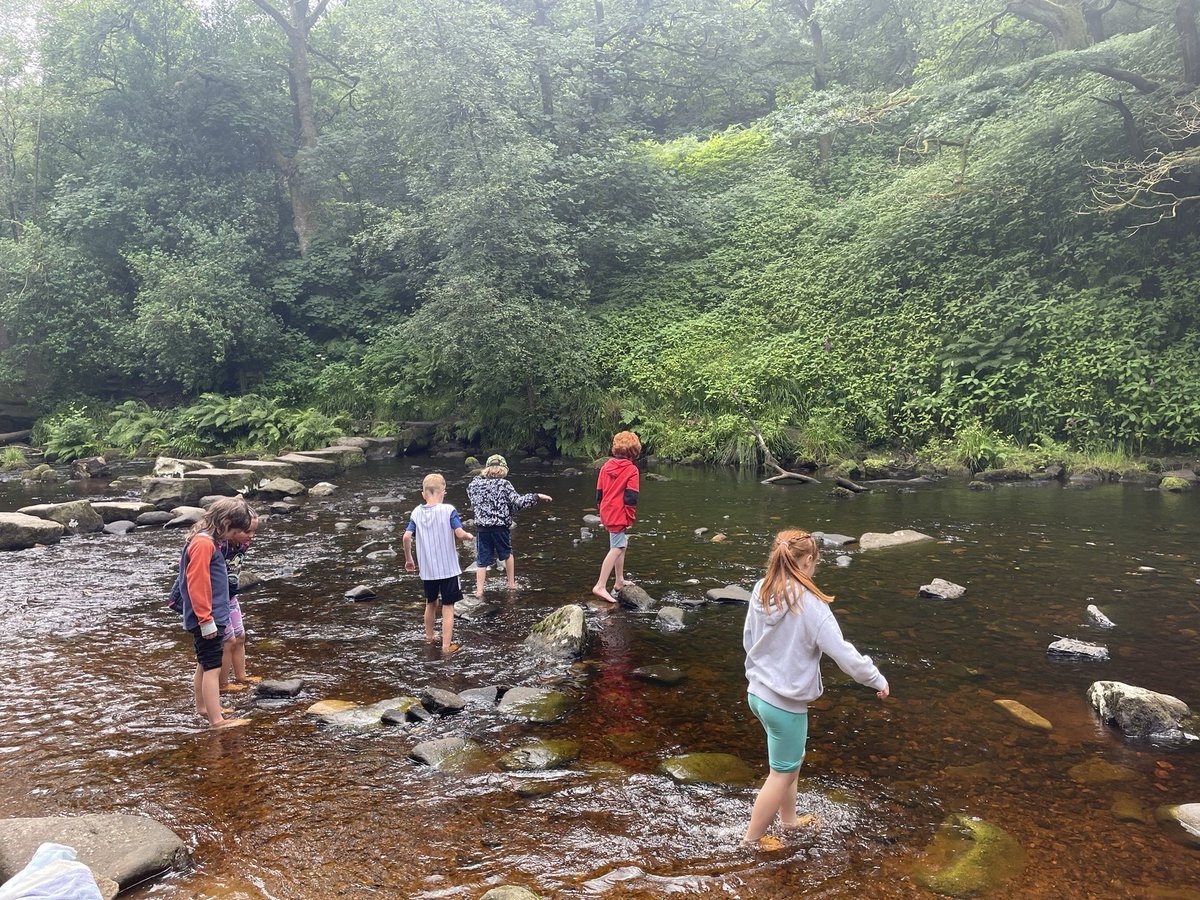 ShadeBooksandMore tweet media