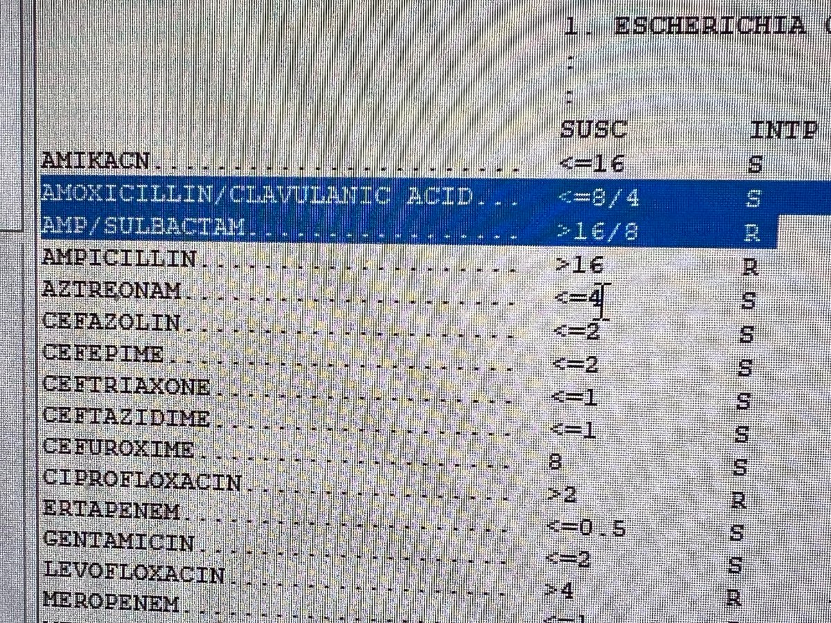 Zaven Sargsyan tweet media