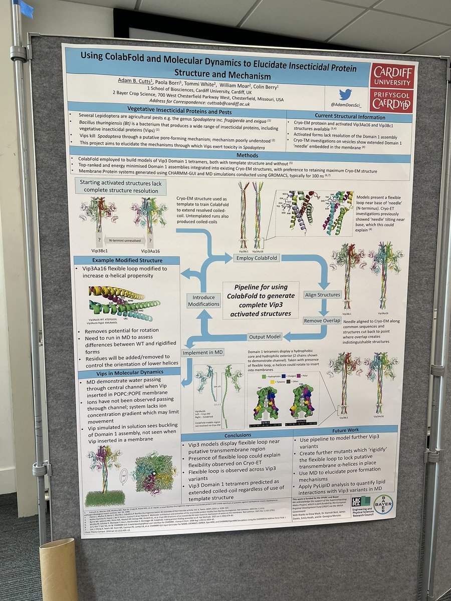 Second poster of my PhD presented at the South West Structural Biology Consortium 2023, focussing on using ColabFold to elucidate Vip3 structures

#swsbc2023 #structuralbiology