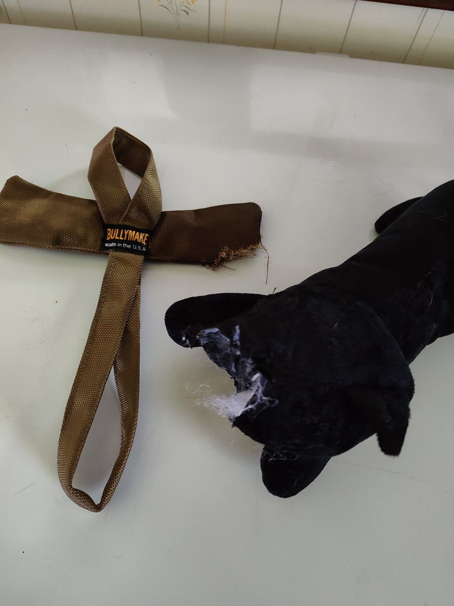 TheBakedBeaver tweet media