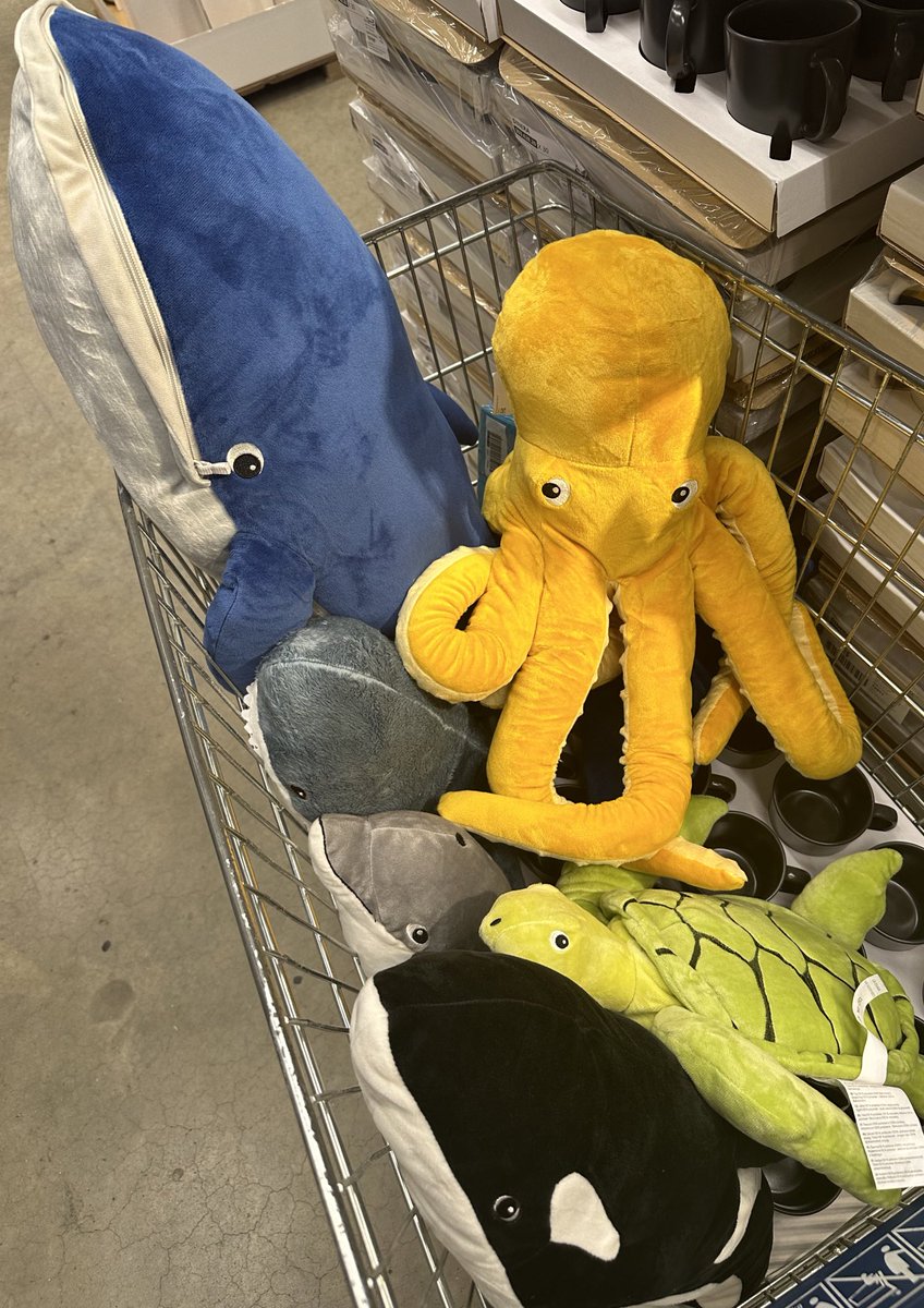 Shopping der Inneneinrichtung so gut wie abgeschlossen, oder?
🤣😎
#padi #tauchschule #tauchschuleulm #projectaware #divingisfun #scubadivingislife #thewaytheworldlearnstodive #waterlust #loveforoceans #tauchenlernen #tauchen #diving #ulm #neuulm #memmingen #biberach #tauchlehrer