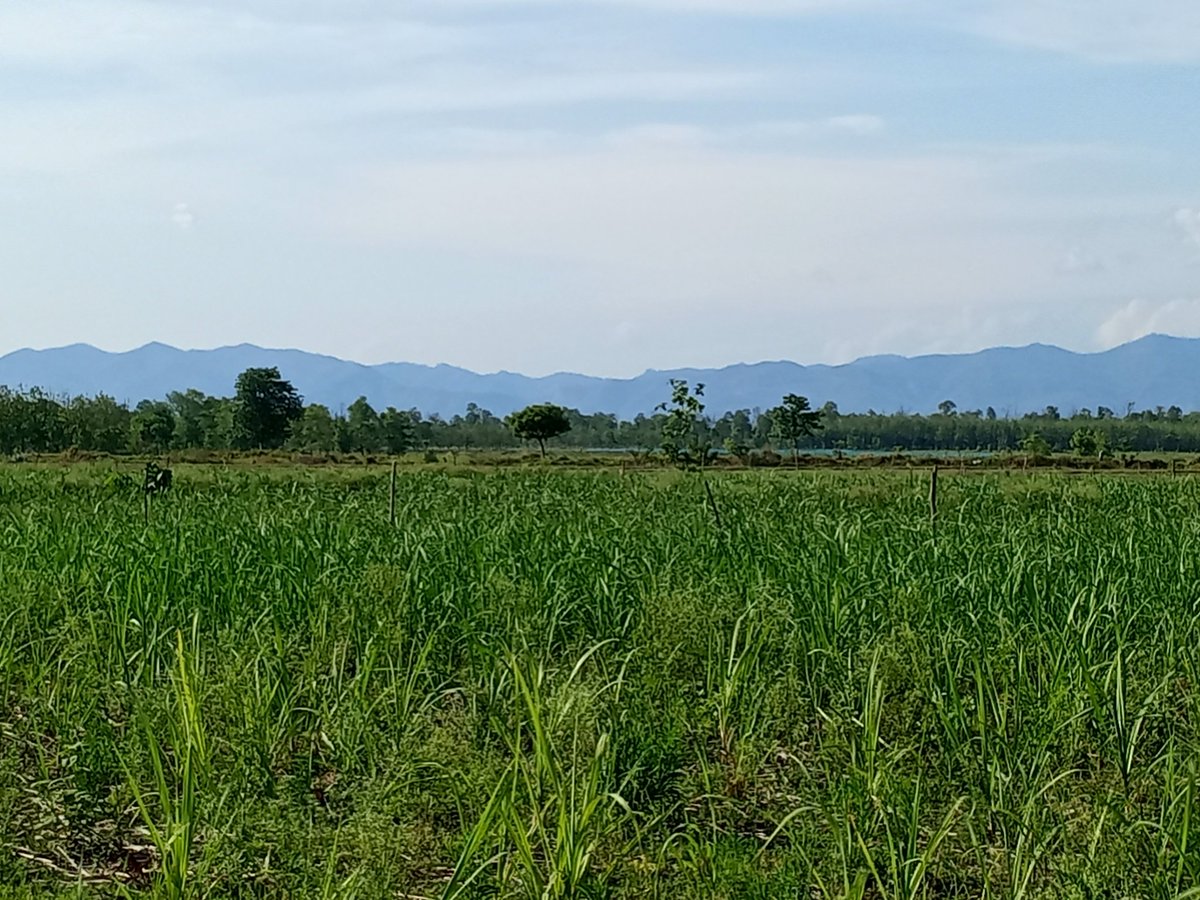 DahiBadey's tweet photo. @DiscretePriti This is how a normal day looks in my Village 🫠 
Location : Gainsari, Uttar Pradesh https://t.co/2dsU4m92p3