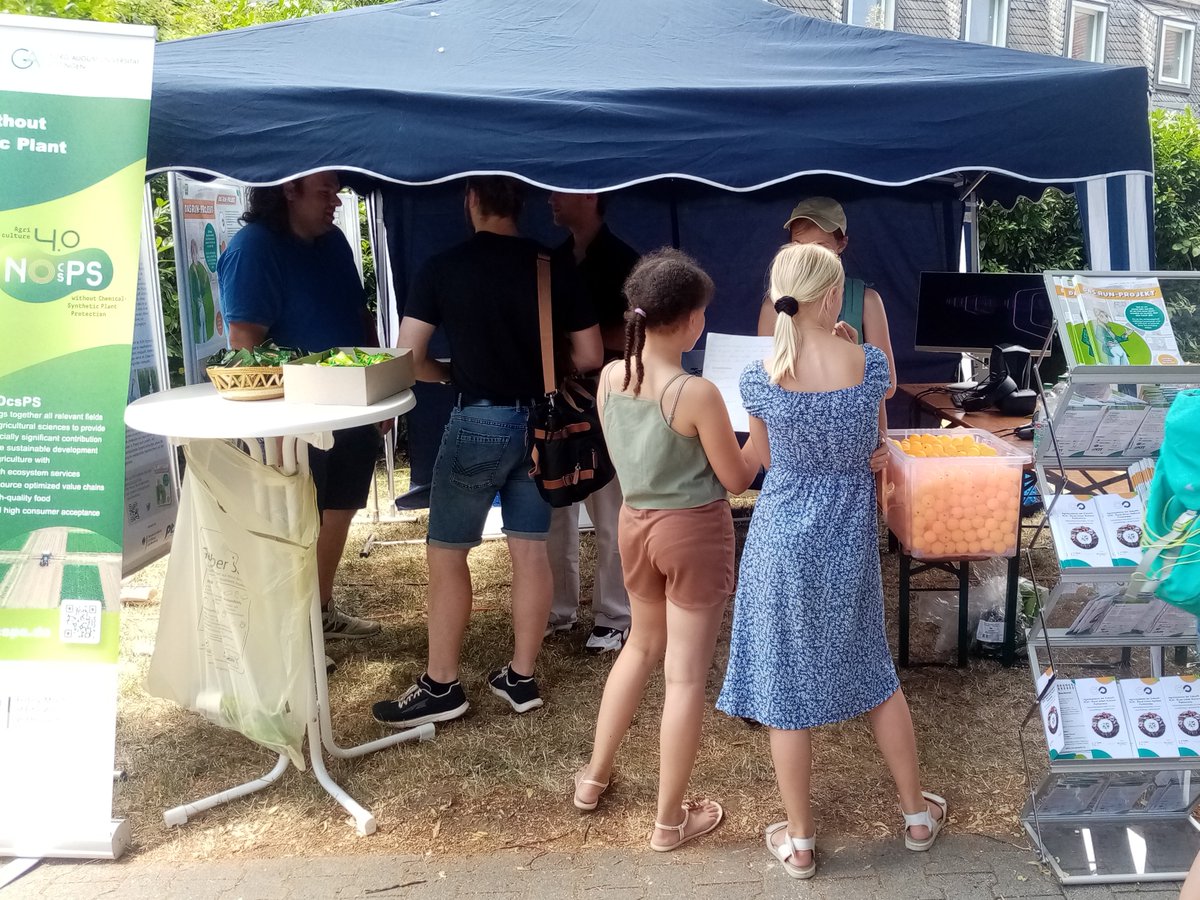 projekt_run's tweet image. Open Day am 8.7. an der @UniHohenheim mit MitarbeiterInnen von @projekt_run und @NOcsPs. Dank virtueller Brille gabs einen Rundgang durch alle 8 @agrarsysteme-Konsortien, Fragen aus dem Bällebad von schwer bis leicht. Kids zählten fleißig Ähren im Zukunftsbild der @agrarsysteme.