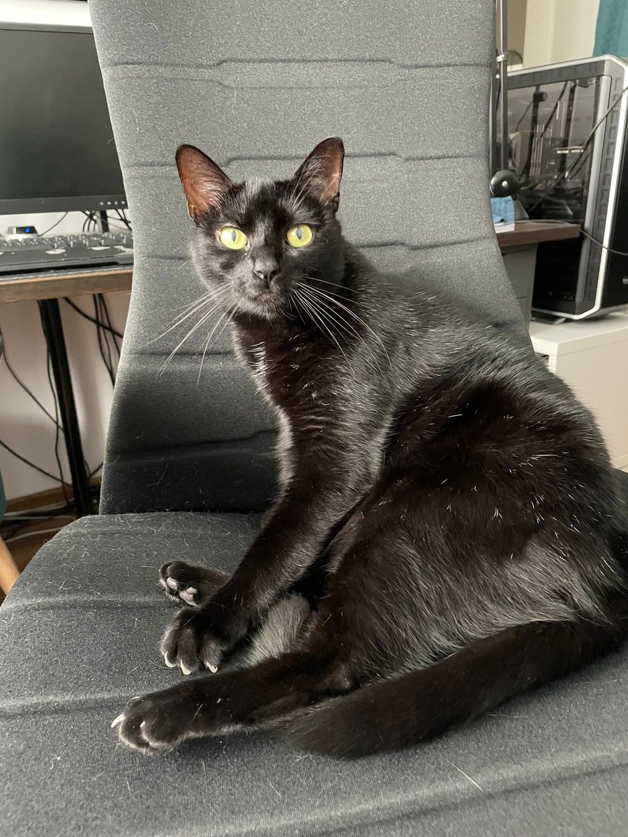 Redamnption⚜️🎮 tweet media