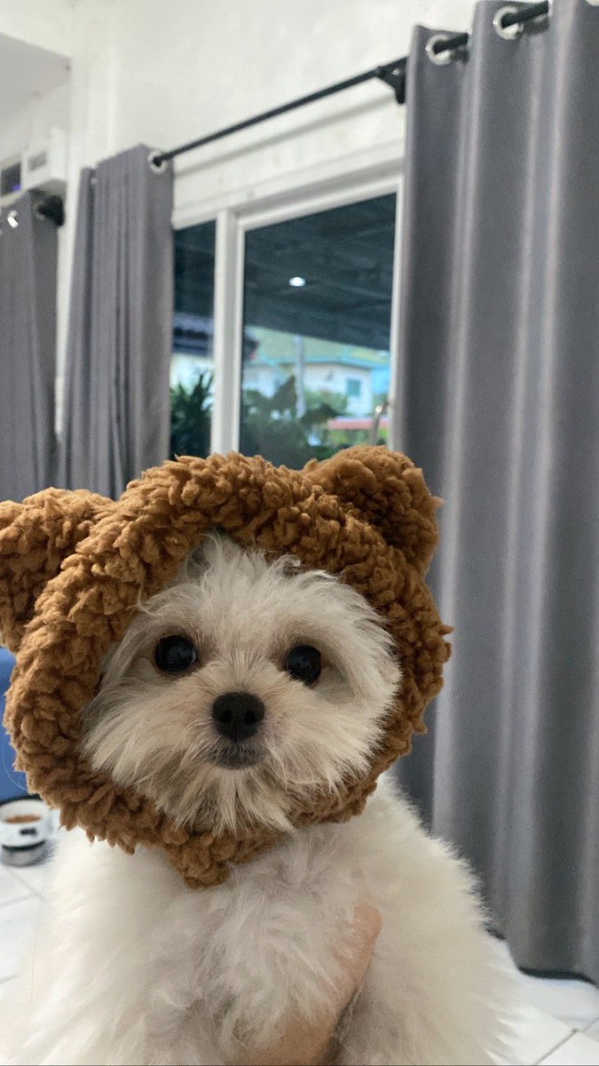 ahcqow's tweet photo. https://t.co/5uu4ydUjdt