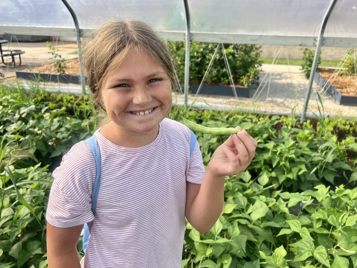 #HSSDSummerSchool2023
Today in Here We Grow we went to the hoop house to pick and taste green beans! We learned that green beans are a rich source of vitamins A, C, and K, and of folic acid and fiber.